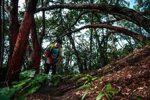 BIB: 
                            <button type="button" onclick="openModal(26346962)" class="btn btn-primary btn-sm float-right btn-popup" data-toggle="modal" data-target=".modal-high-quality">
                        <i class="fas fa-shopping-cart"></i> Add to Cart
                    </button>
                                            <button type="button" onclick="isThisMe(26346962, true)" class="btn btn-success btn-sm float-right btn-popup btn-isme hidden" data-toggle="tooltip" data-placement="bottom" title="นี่คือรูปของคุณใช่ไหม คลิกที่นี่เพื่อเอาเข้าอัลบั้ม">
                        <i class="fas fa-plus"></i> Add to album
                    </button>
                    <button type="button" onclick="isThisMe(26346962, false)" class="btn btn-warning btn-sm float-right btn-popup btn-isnotme hidden">
                        <i class="fas fa-ban"></i> Remove from album
                    </button>